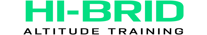 Hi-Brid 2nd logo